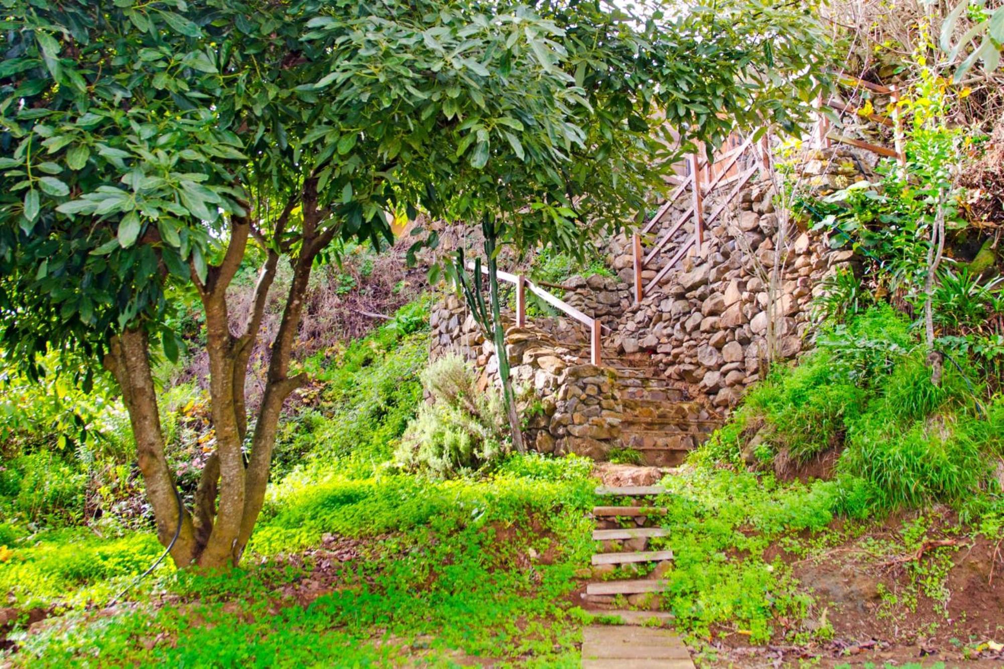 Zenda De Fontanales Villa Moya  Exterior photo